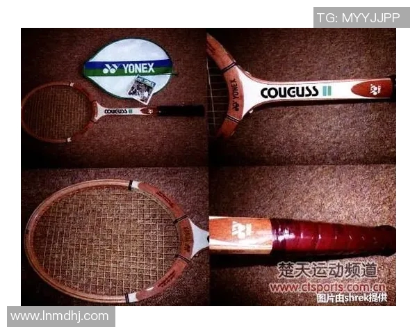 杭州羽毛球队整体表现分析：优势与不足的深度探讨